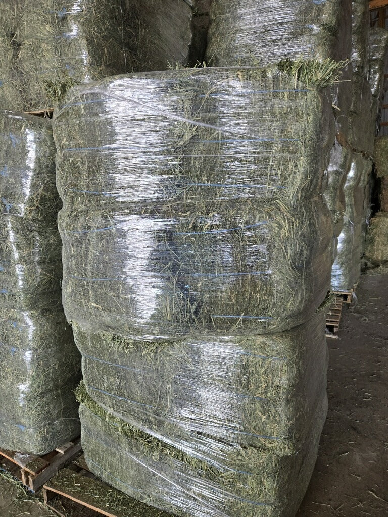 Alfalfa Grass Bundle