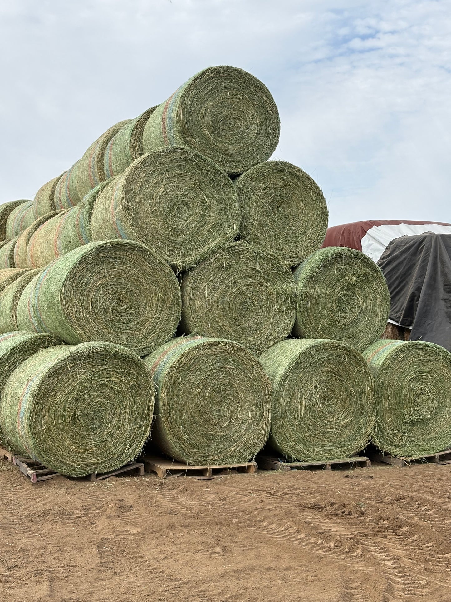 1st Cutting Alfalfa Grass Round bales