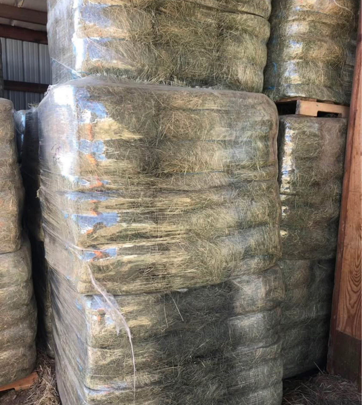 1st Cutting Timothy Bundles