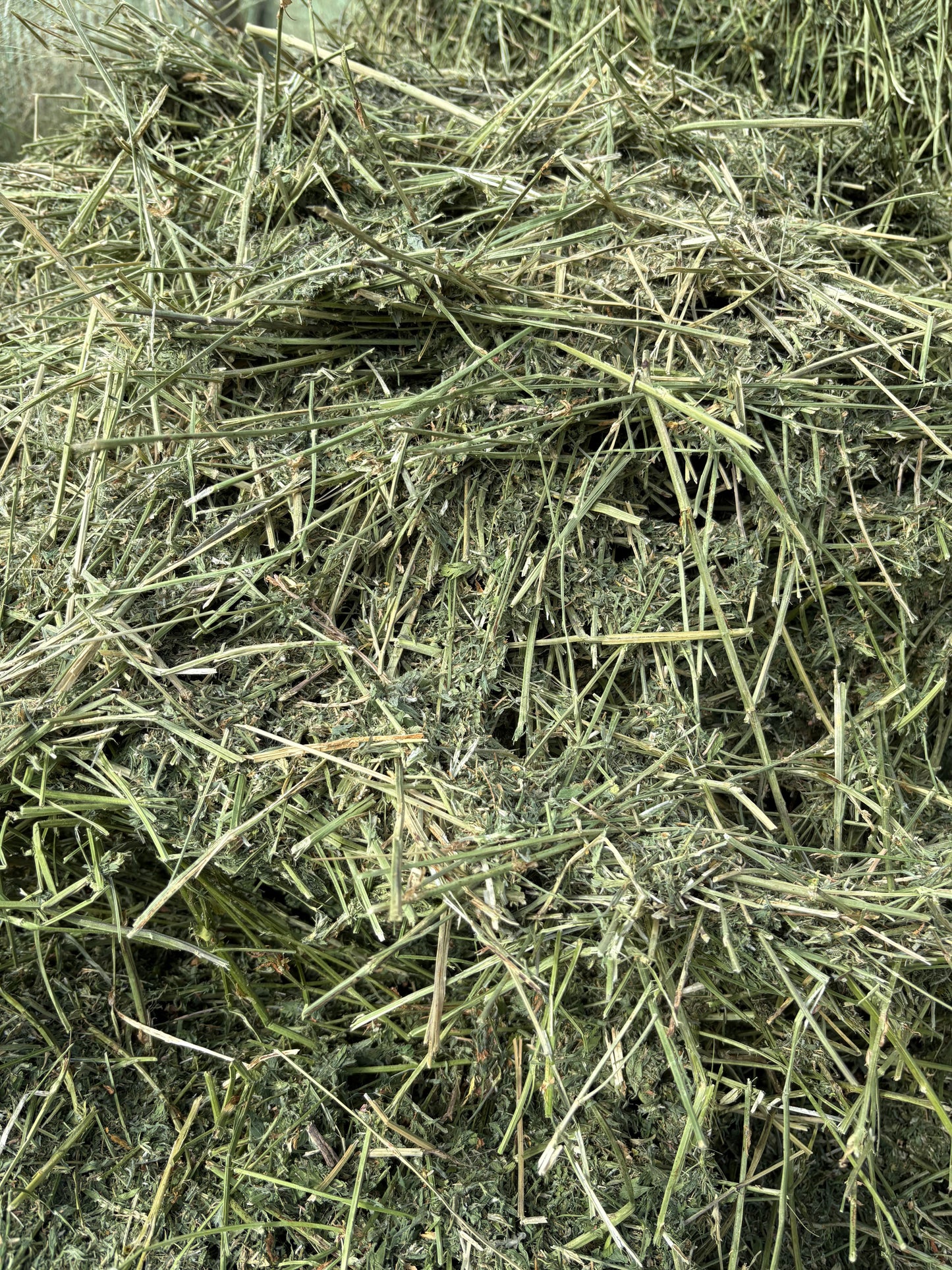 1st Cutting Alfalfa Grass Round bales