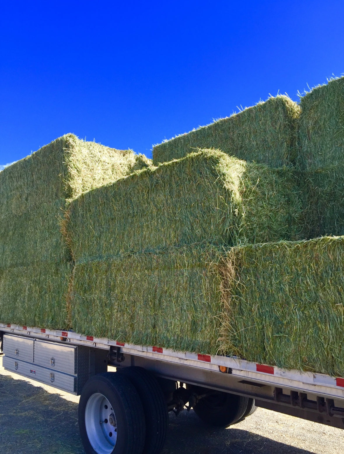 1st Cutting Alfalfa Grass Big Squares
