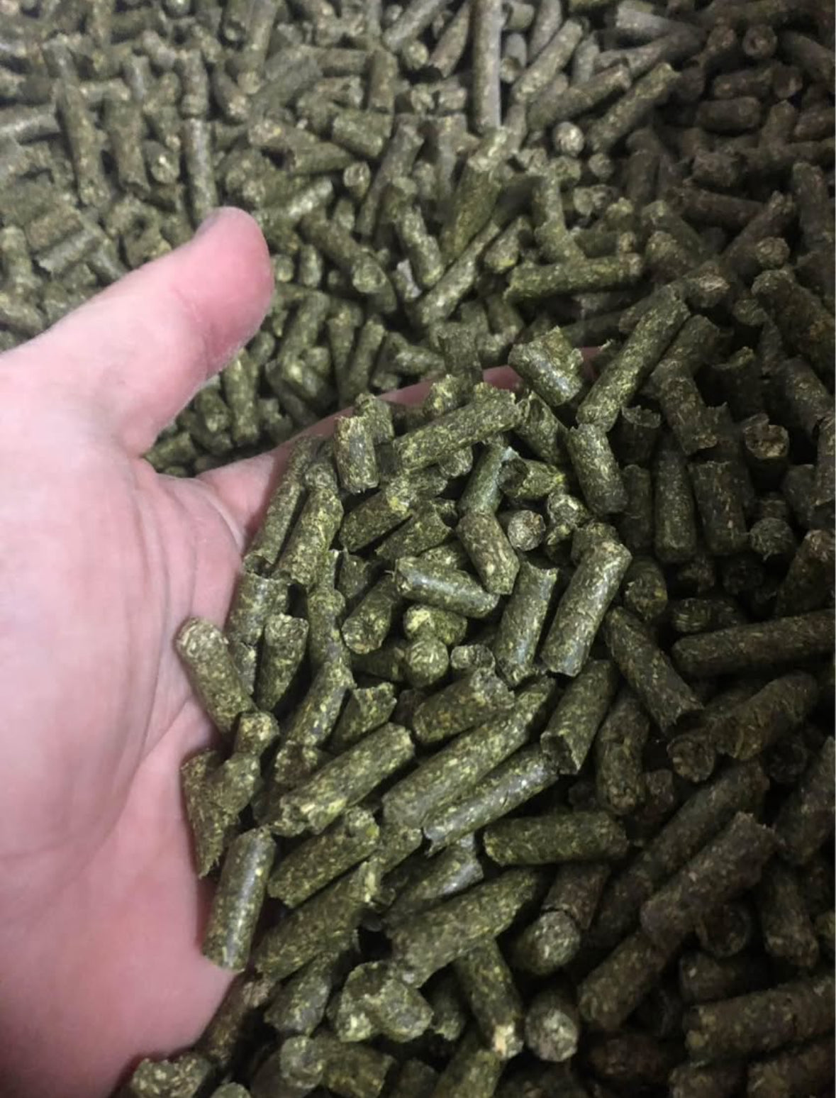 Alfalfa Pellets- 40lb bag