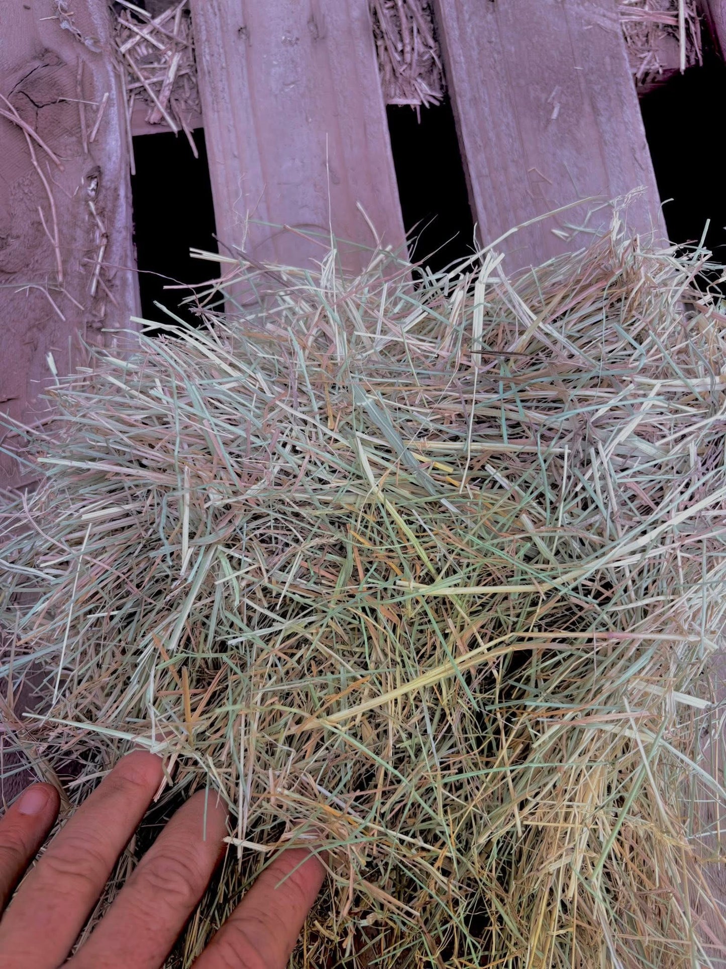 Timothy Orchard Bundles