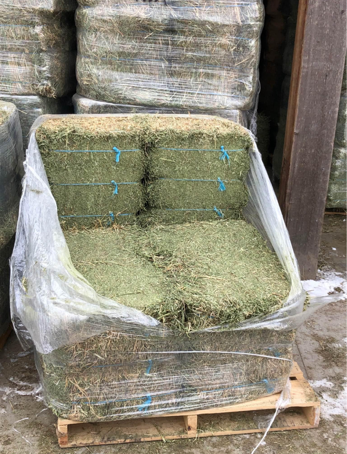 1st Cutting Alfalfa Bundle