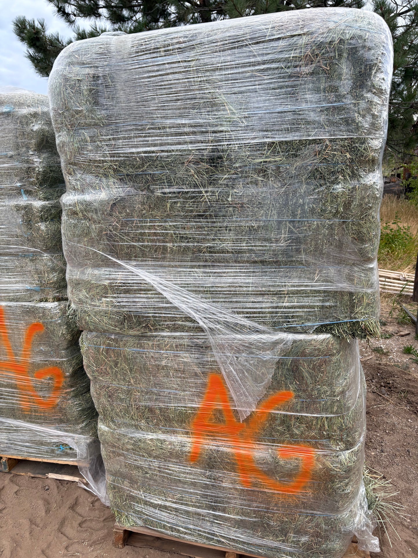 Alfalfa Grass Bundle