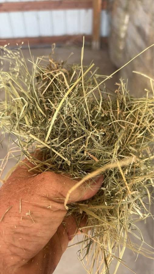 Teff Bundle