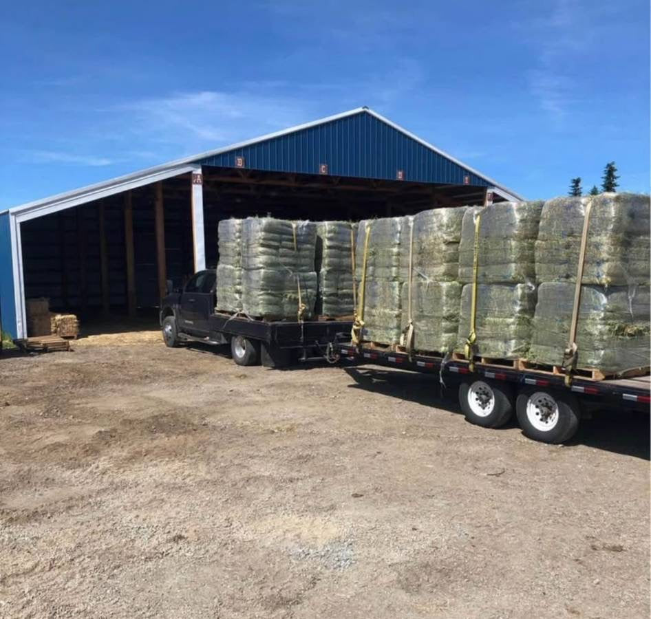 Timothy Orchard Bundles