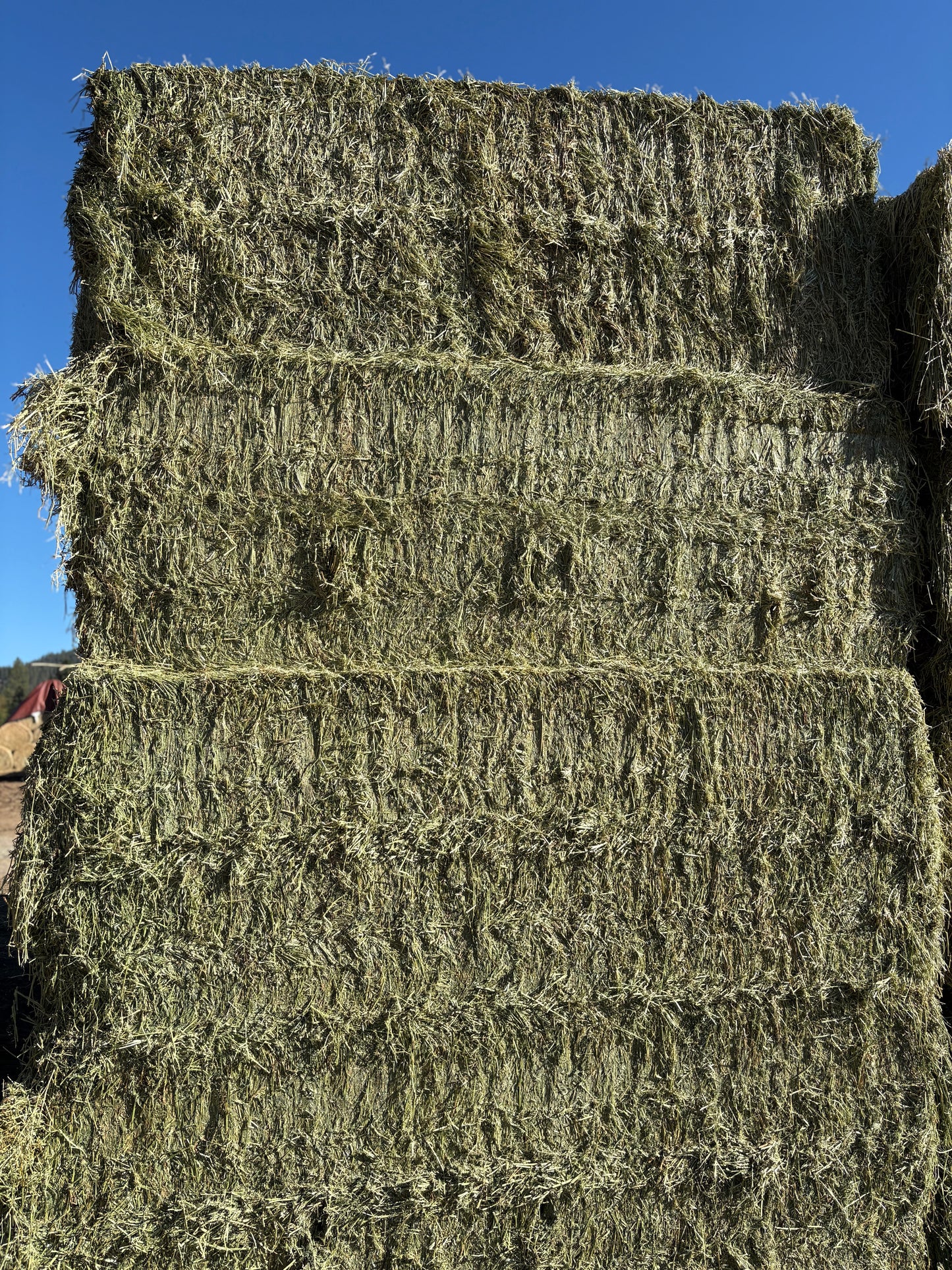 2nd Cut Alfalfa Big Squares