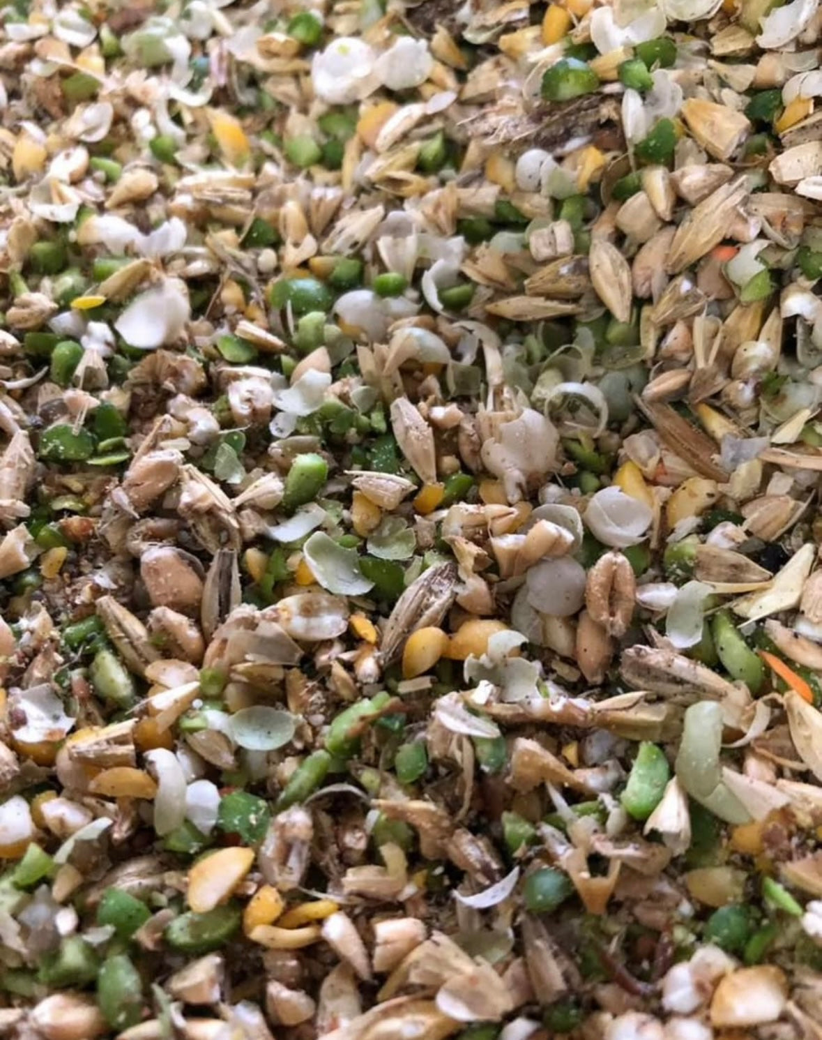 Super Layer Chicken Feed- 50lb bag