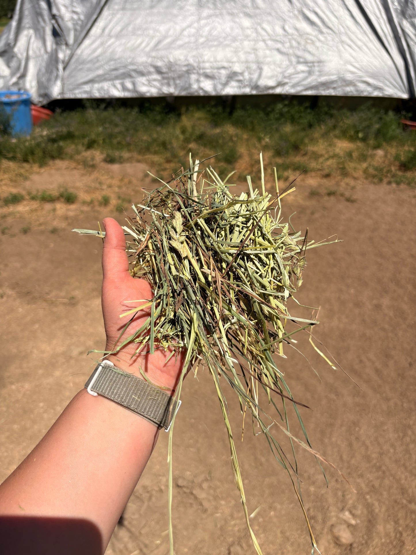 Timothy Orchard Bundles