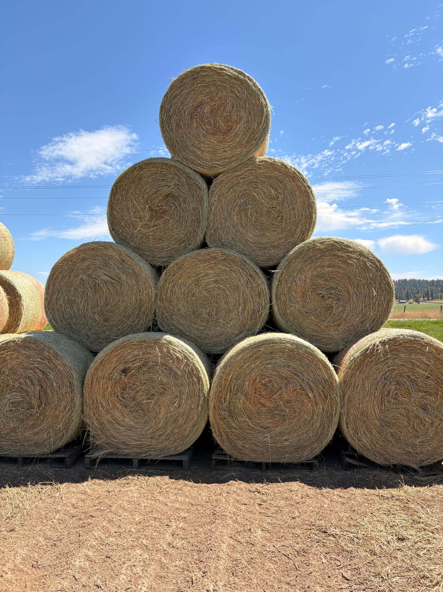 Grass Round Bales