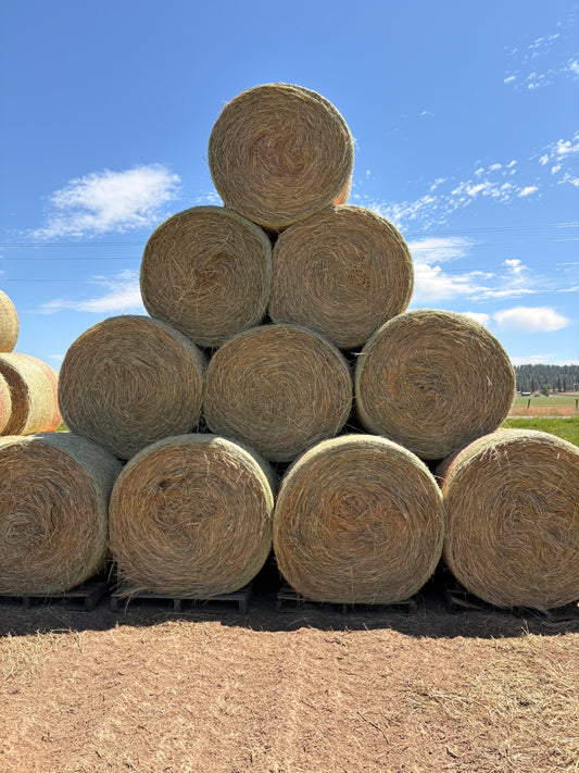 Grass Round Bales