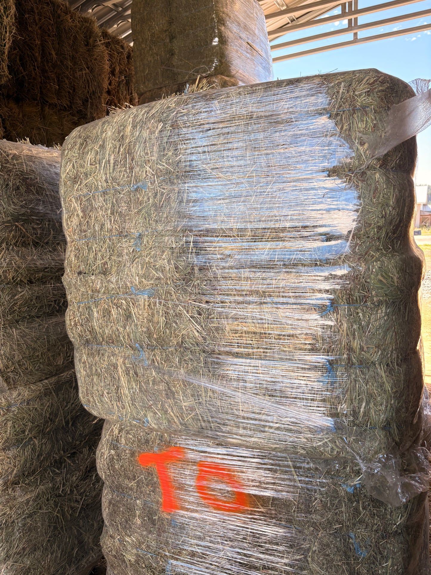 Timothy Orchard Bundles