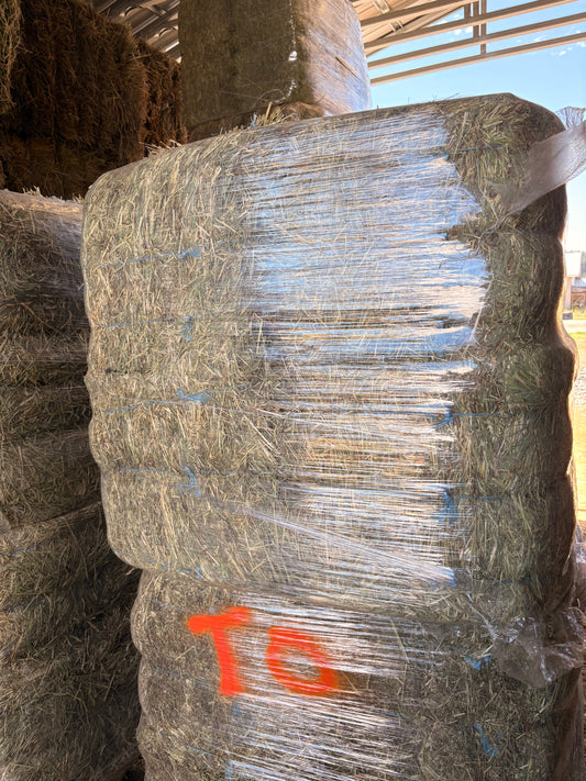 Timothy Orchard Bundles