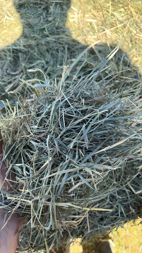 Orchard Hay Bundles