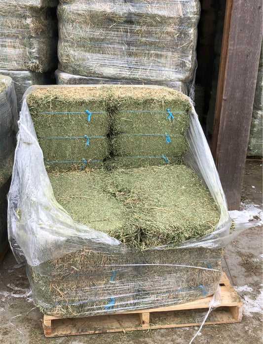 1st cut Alfalfa Bundle