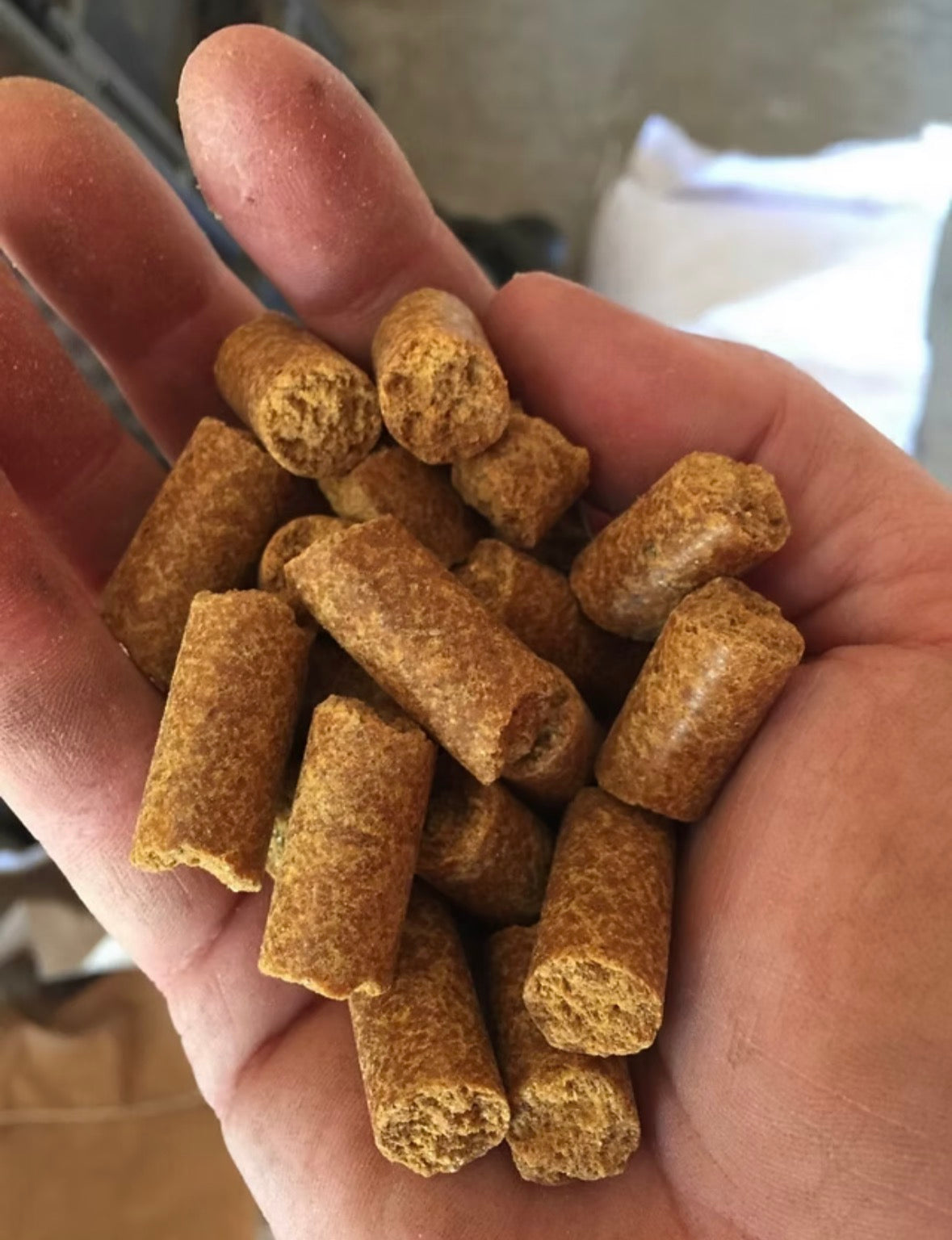 Livestock Protein Pellets