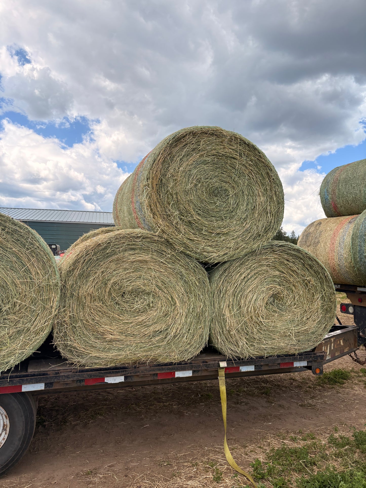 2nd Cut Alfalfa Round Bales