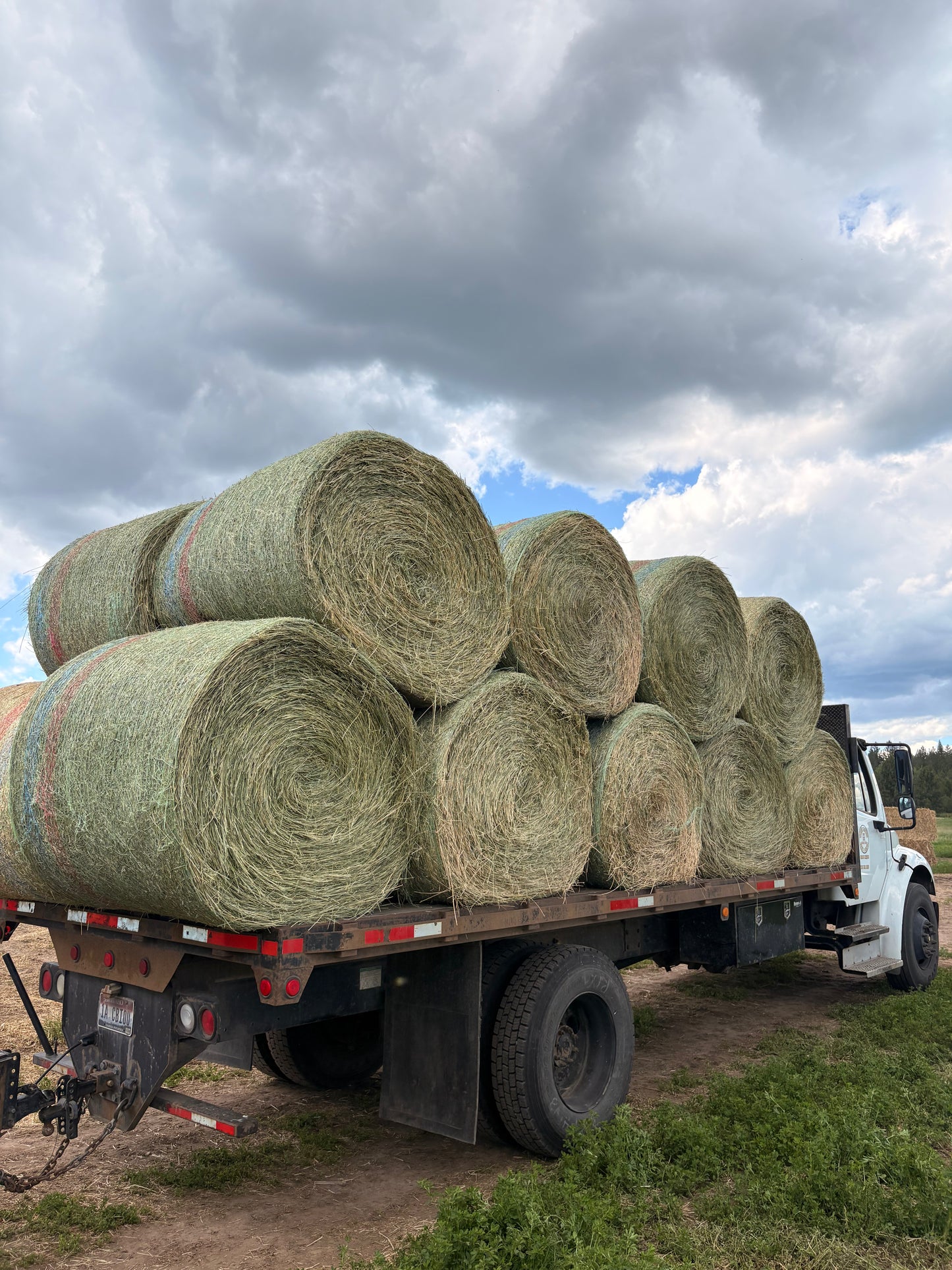 2nd Cut Alfalfa Round Bales