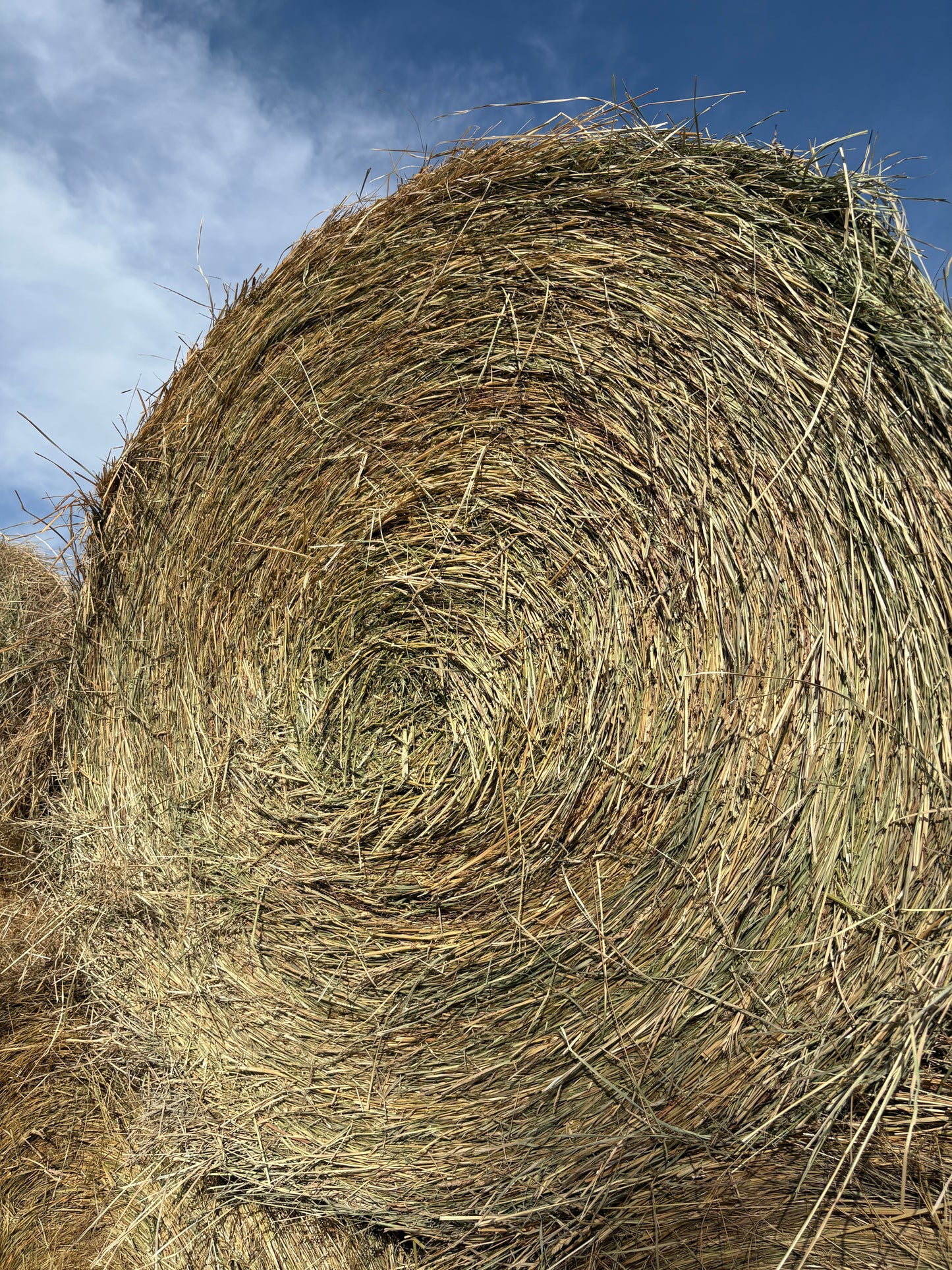 Orchard Grass Alfalfa Mix Round Bales