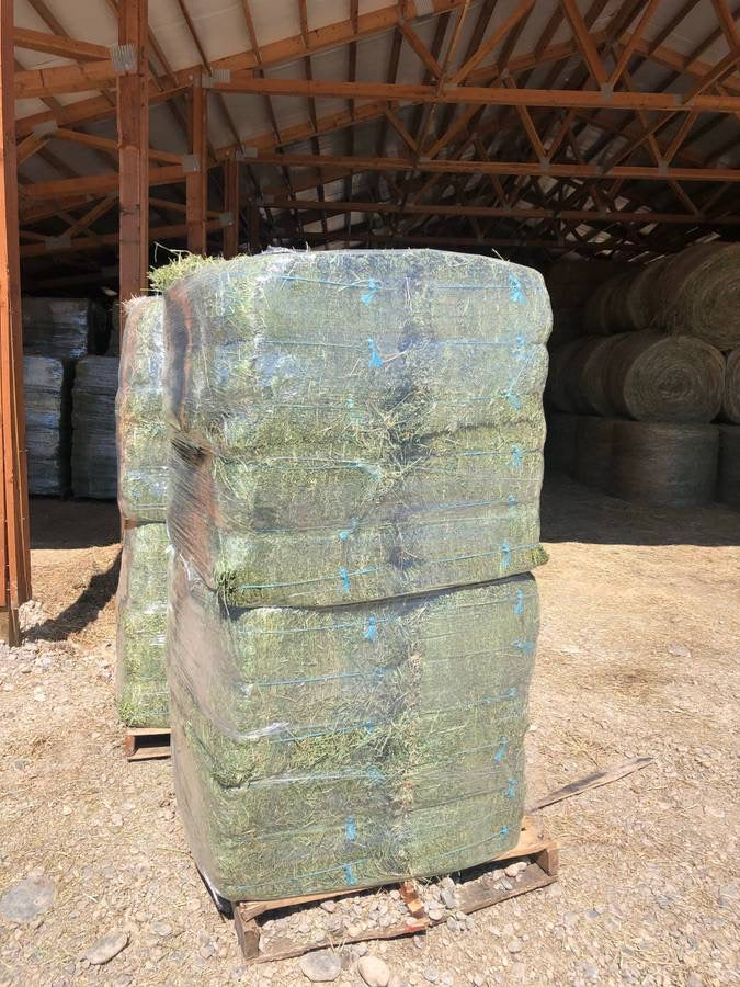 2nd Cutting Alfalfa Bundle