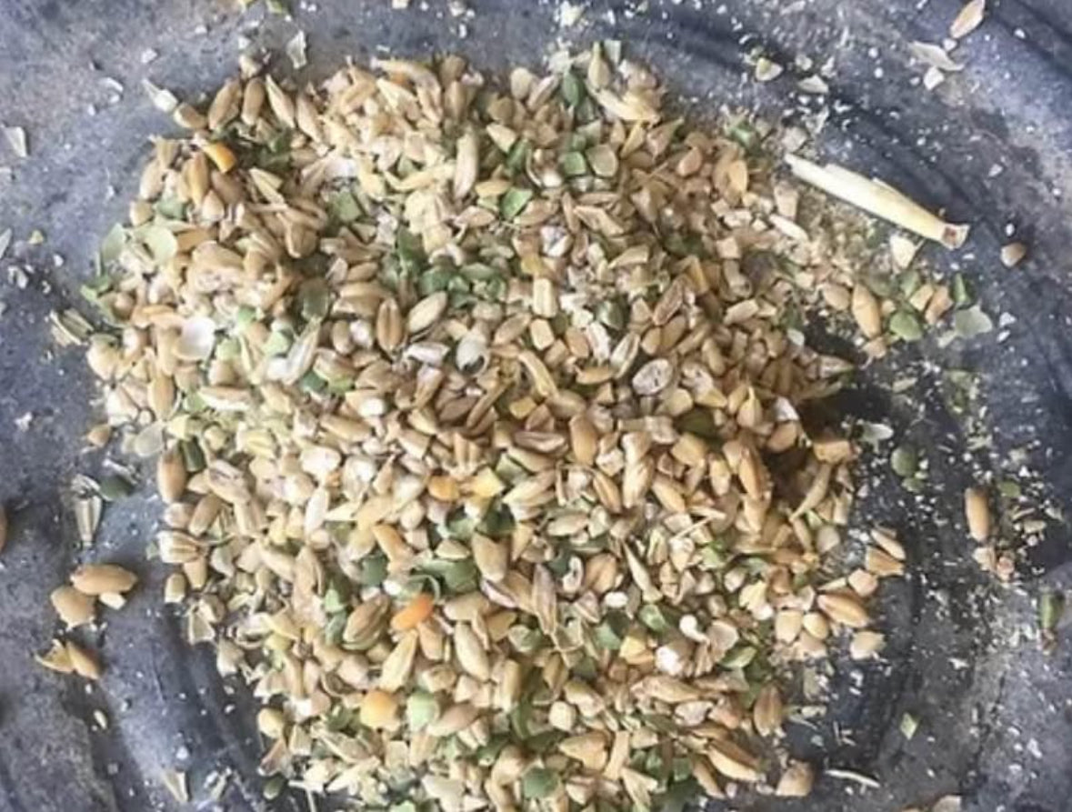 Swine Grower- 50lb bag