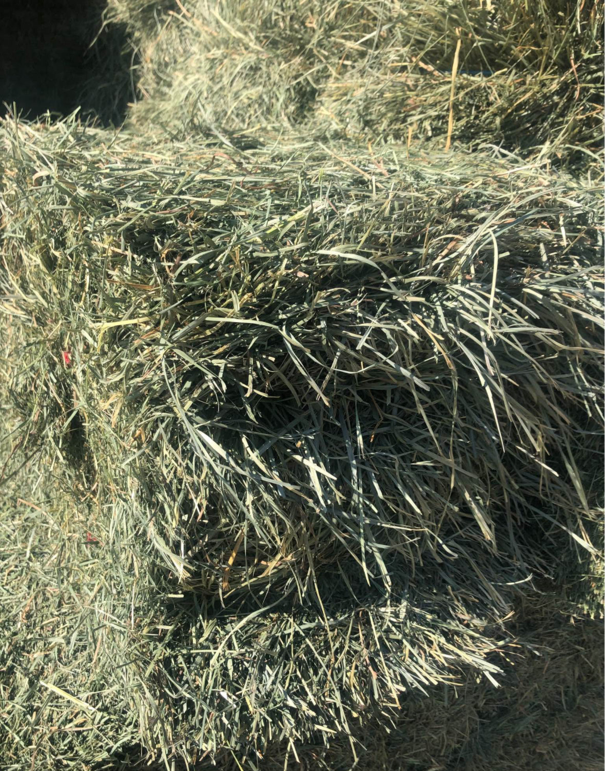 2nd Cut Timothy Bundles