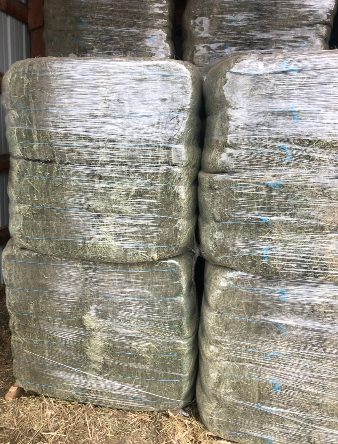 2nd Cut Timothy Bundles